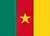 Vlag - Cameroon